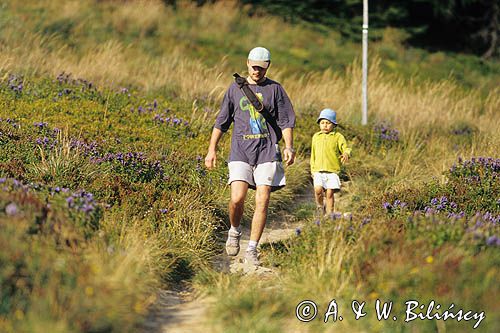 Na szlaku w Bieszczadach, Bieszczady, Polska