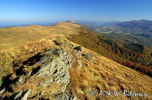 Połonina Wetlińska z Hnatowego Berda, Bieszczady, Polska