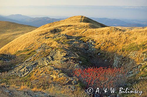 Na Tarnicy, Bieszczady, Polska