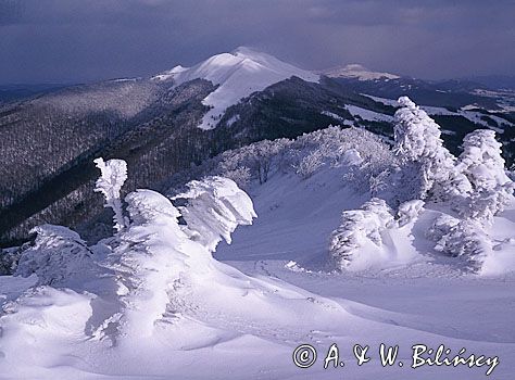 na Połoninie Wetlińskiej, widok na Połoninę Caryńską, Bieszczady