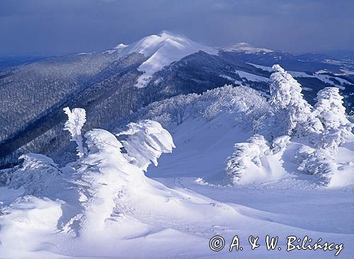 Na Połoninie Wetlińskiej, widok na Połoninę Caryńską, Bieszczady