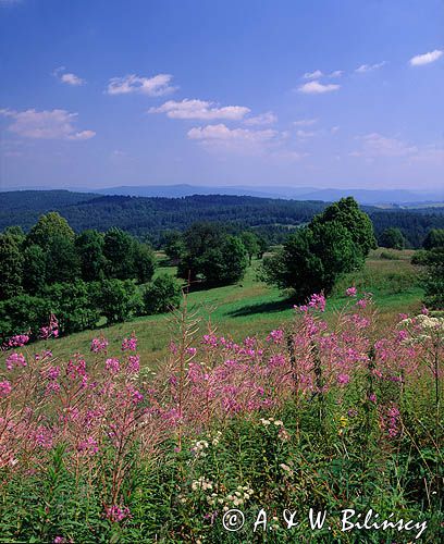 Bieszczady, Bereźnica Wyżna