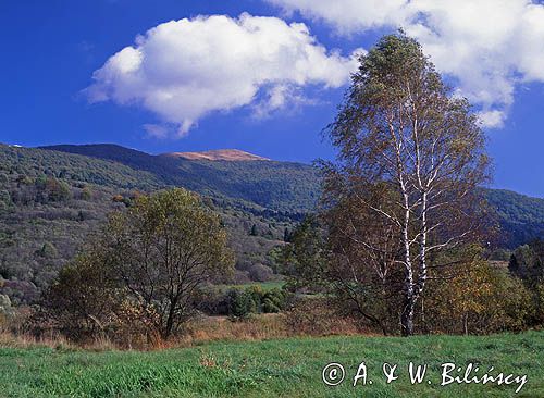 Bieszczady, widok ze smerka na połoniny bieszczadzkie