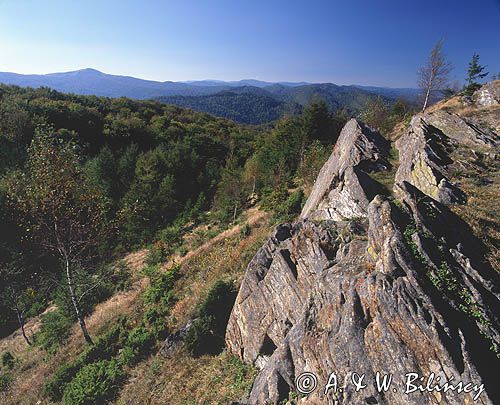 Dwernik - Kamień, Bieszczady, flisz karpacki