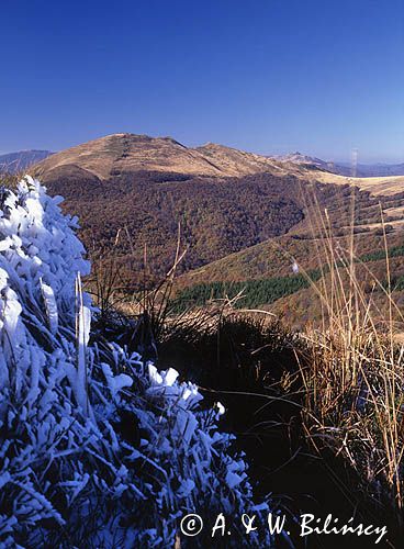 Widok na Tarnicę z Rozsypańsca, Bieszczady