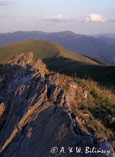 Połonina Caryńska w Bieszczadach