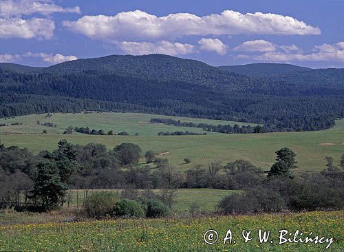 Okolice Łupkowa, Bieszczady