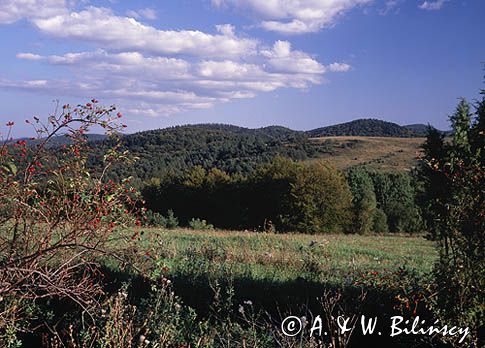 Widok z Suliły koło Turzańska, Bieszczady