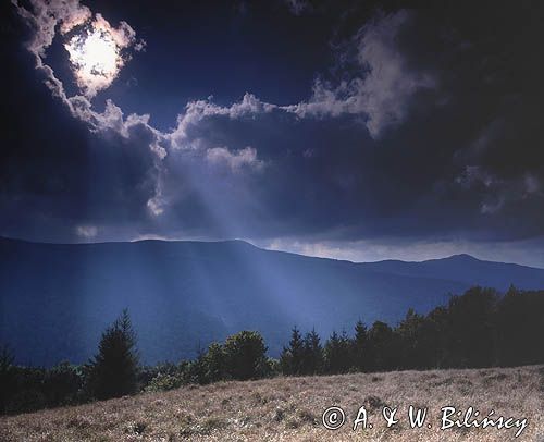 Widok na Połoninę Wetlińską z Jawornika, Bieszczady