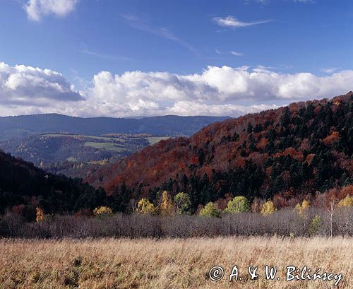 Widok z Ostrego, Bieszczady