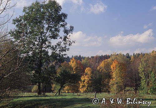 Bieszczady, Polska, Europa