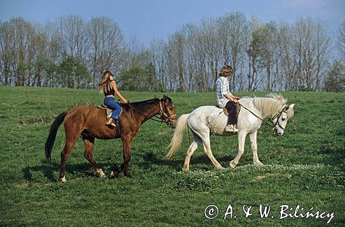 Ludzie na koniach w Bieszczadach, na koniach huculskich, Polska