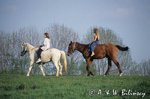 Ludzie na koniach w Bieszczadach, Polska