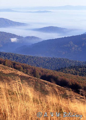 poranne mgły w jesienny poranek na Bukowym Berdzie, Bieszczady