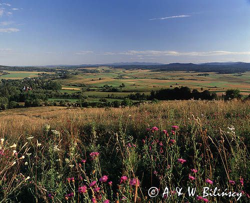 Bieszczady łąka koło wsi Bystre