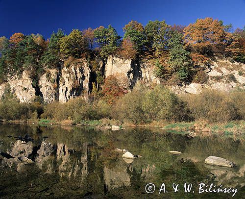 Bieszczady Ściana Skalna w Myczkowcach