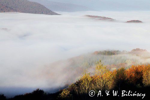 poranne jesienne mgły w Bieszczadach, widok z Połoniny Caryńskiej, inwersja