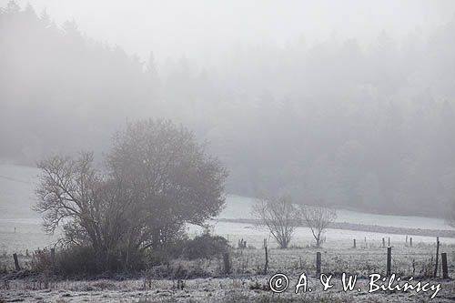 szron na łąkach, Bieszczady pod Jawornikami