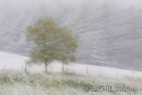 Impresja, zadymka, pada śnieg jesienią, Bieszczady