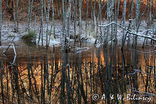 jesień i zima w jednym, Bieszczady, Bieszczadzki Park Narodowy