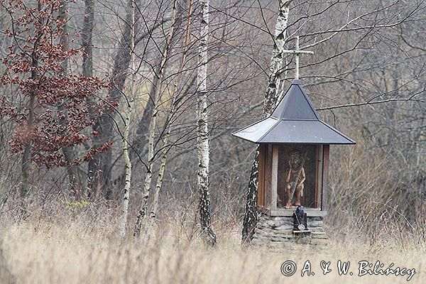 kapliczka pod Besidą, Bieszczady