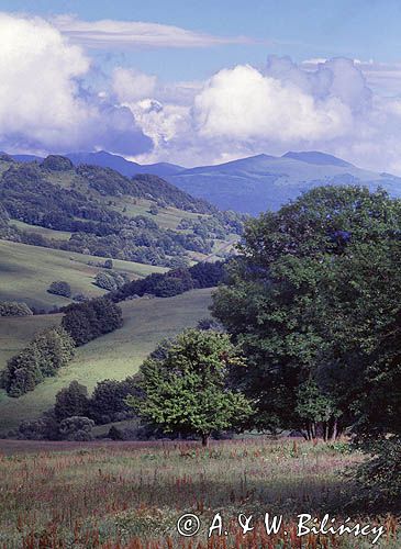 Bieszczady, widok z przełęczy Wyżnej w stronę Tarnicy, Bieszczadzki Park Narodowy