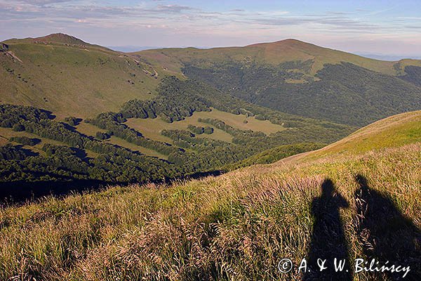 Bieszczady, widok spod Tarnicy na Halicz