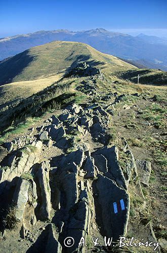 Bieszczady, połonina Caryńska, erozja, szlak turystyczny