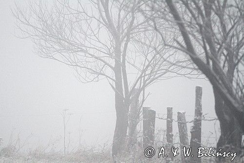 we mgle, Bieszczady pod Jawornikami