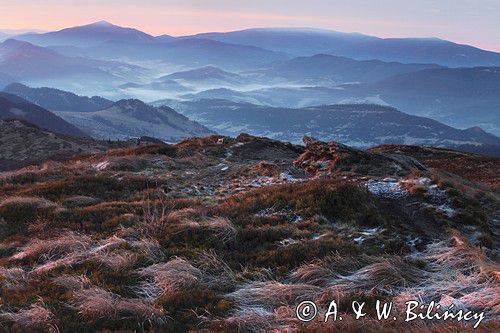 o świcie na Rozsypańcu, Bieszczady, Bieszczadzki Park Narodowy