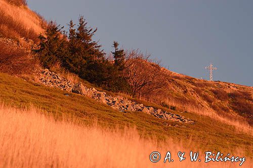 Tarnica o zachodzie słońca, Bieszczady