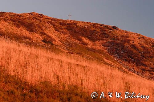 Tarnica o zachodzie słońca, Bieszczady