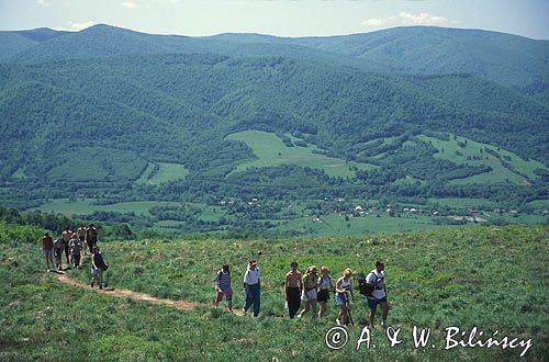 Bieszczady Przełęcz Orłowicza