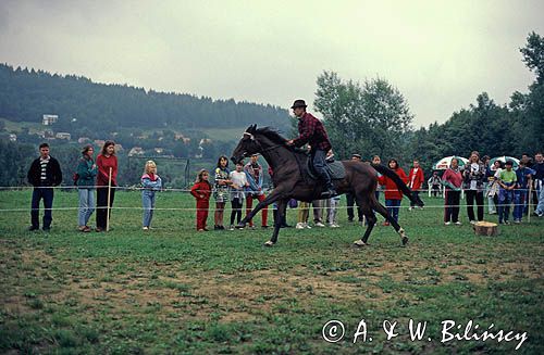 zawody konne w Ustrzykach Dolnych