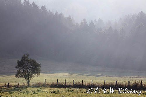 poranek, Bieszczady pod Jawornikami