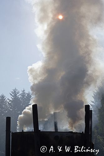 Bieszczady wypał węgla drzewnego