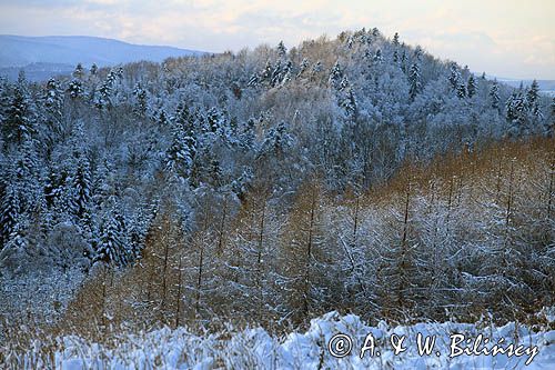 widok z punktu widokowego na Ostrem, Bieszczady, szczyt Kolasznia