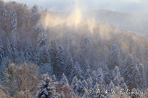 Polana Ostre, Rosochate pod Otrytem, widok z punktu widokowego na Ostrem, Bieszczady