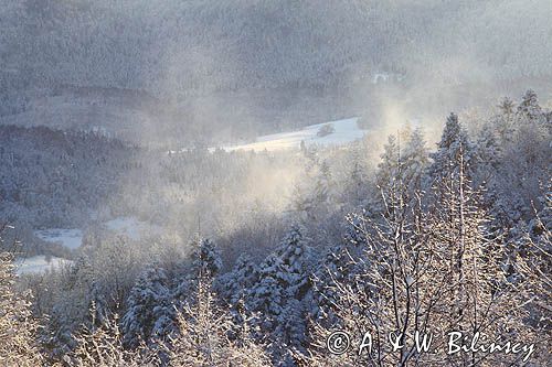 Polana Ostre, Rosochate pod Otrytem, widok z punktu widokowego na Ostrem, Bieszczady