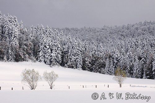 zima, Bieszczady