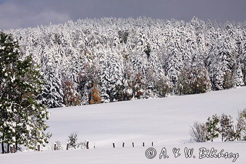 zima, Bieszczady