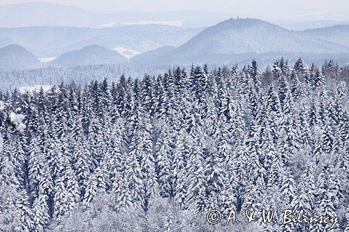 zima, Bieszczady, widok z Jaworników