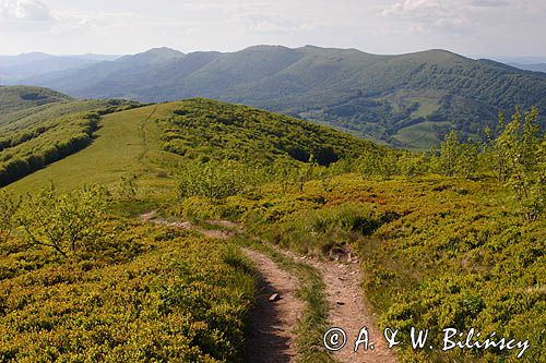 Bieszczady, panorama, na Wielkiej Rawce, widok na Połoninę Caryńską