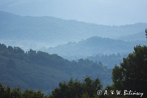 Pod Wetlińską, Bieszczady