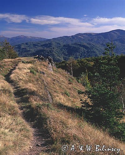 Dwernik Kamień Bieszczady