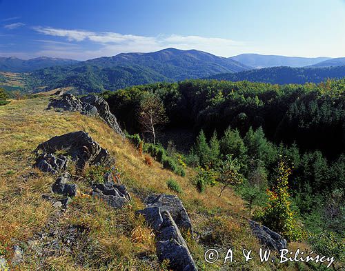 Bieszczady widok z Dwernika Kamienia