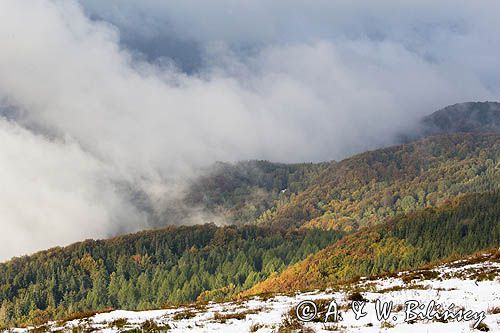 W chmurach, poranek na Wetlińskiej, Bieszczady