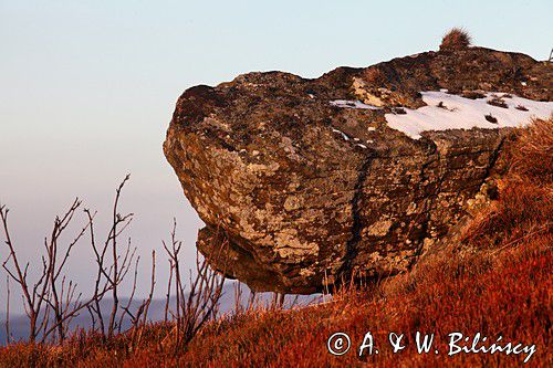 skała hipopotam, Bukowe Berdo, Bieszczady