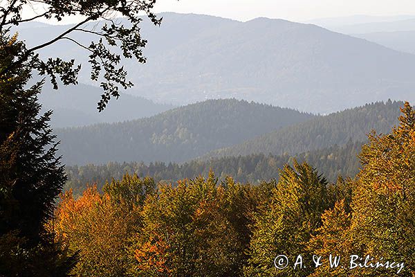 Widok na pasmo żuków z Jaworników, Bieszczady