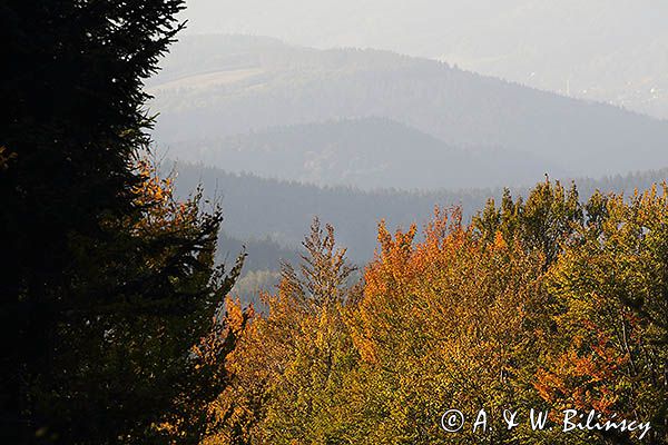 Widok na pasmo żuków z Jaworników, Bieszczady